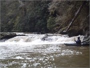 Spring Creek 22